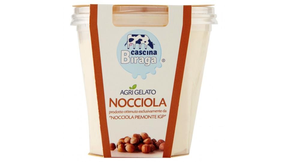 Agrigelato Nocciola Prodotto Ottenuto Esclusivamente da "nocciola Piemonte Igp"