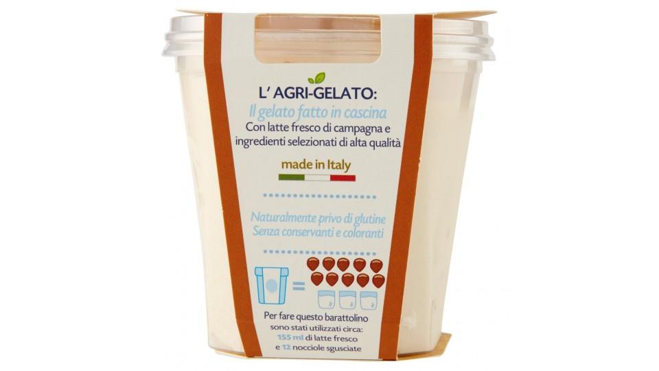 Agrigelato Nocciola Prodotto Ottenuto Esclusivamente da "nocciola Piemonte Igp"
