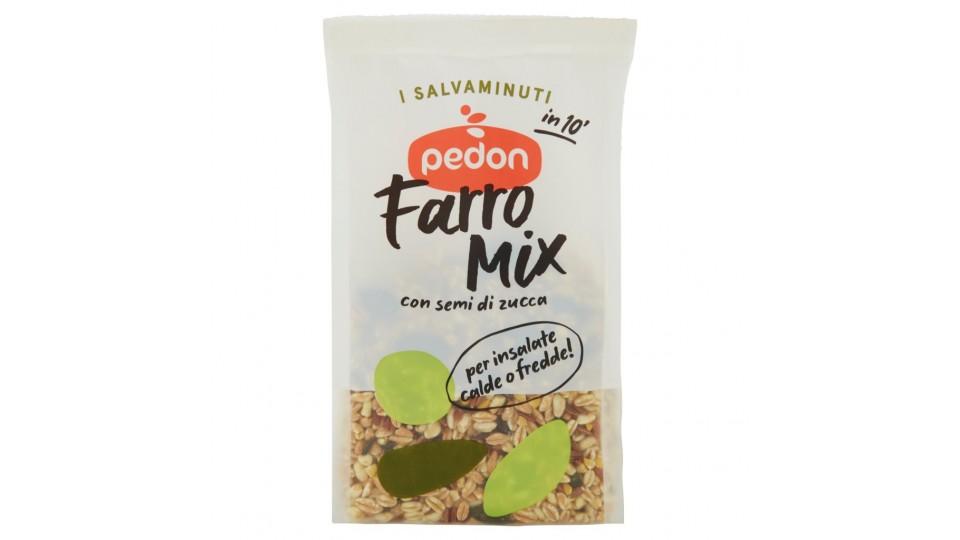 I Salvaminuti Farro Mix con Semi di Zucca