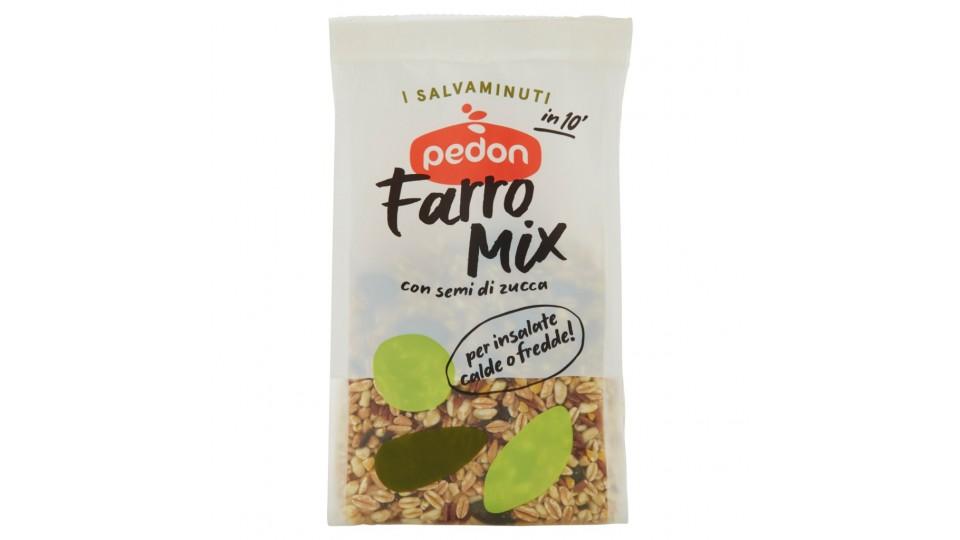 I Salvaminuti Farro Mix con Semi di Zucca