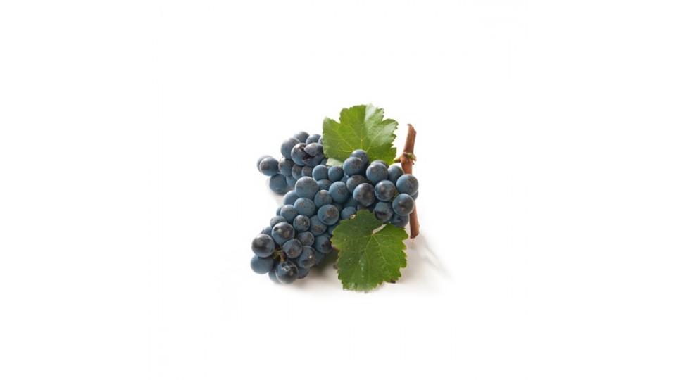 Uva Fragola Italia