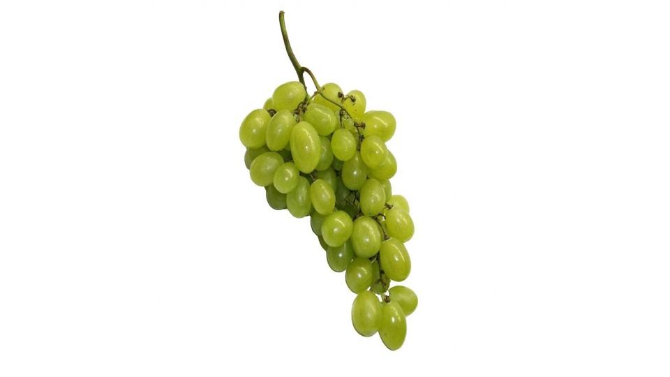 Uva Pizzutella