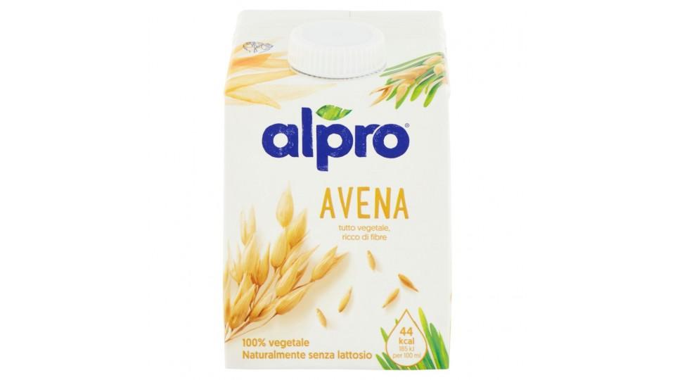 Avena