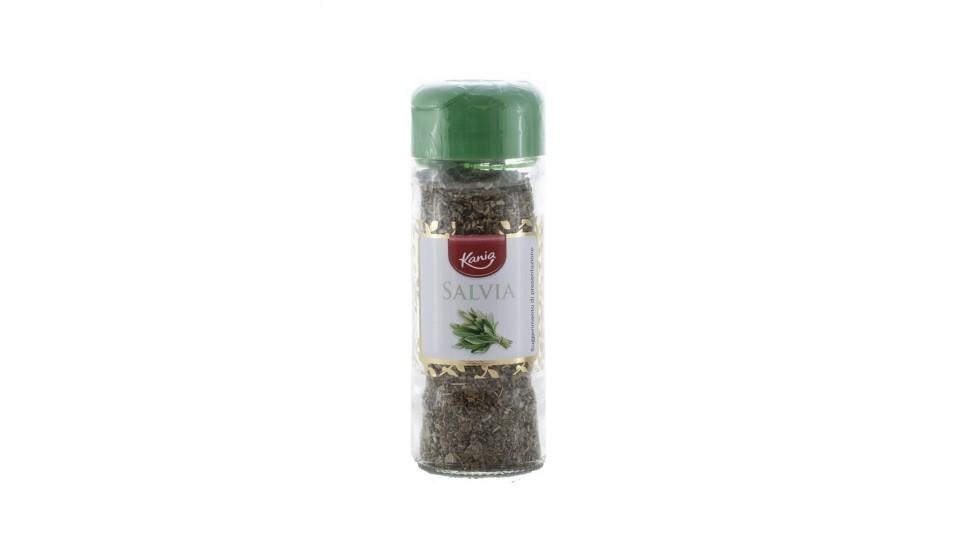 Salvia