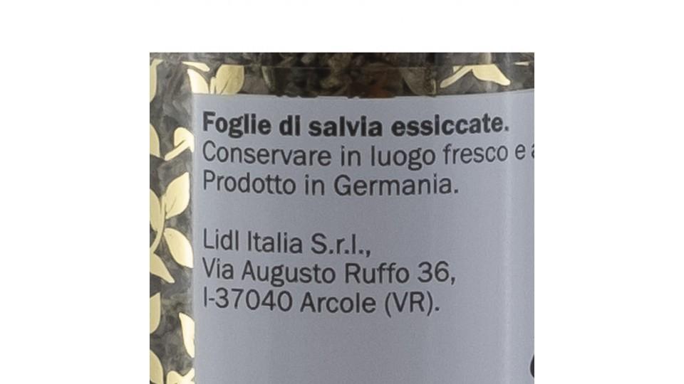 Salvia