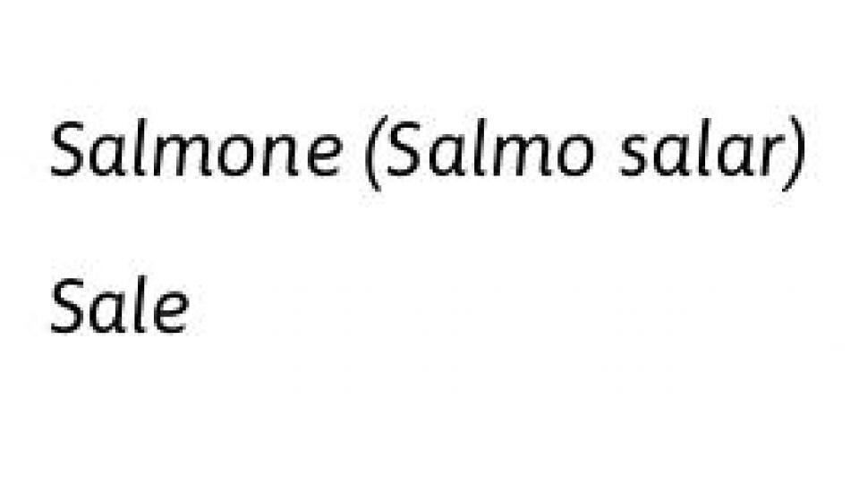 Food Lab Salmone Norvegese Affumicato Taglio Lungo