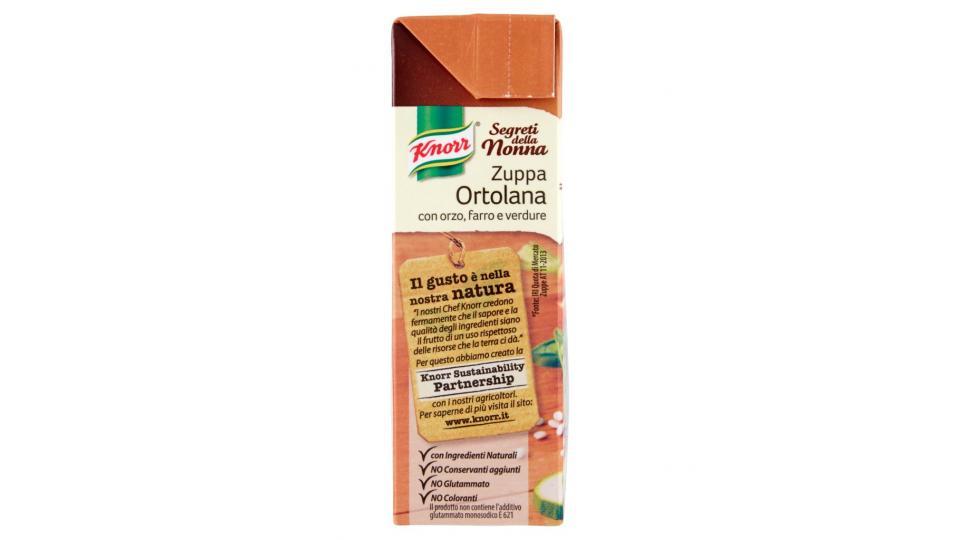 Knorr - Zuppa Ortolana, con Orzo, Farro e Verdure