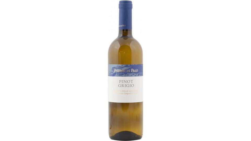 PINOT GRIGIO IGT