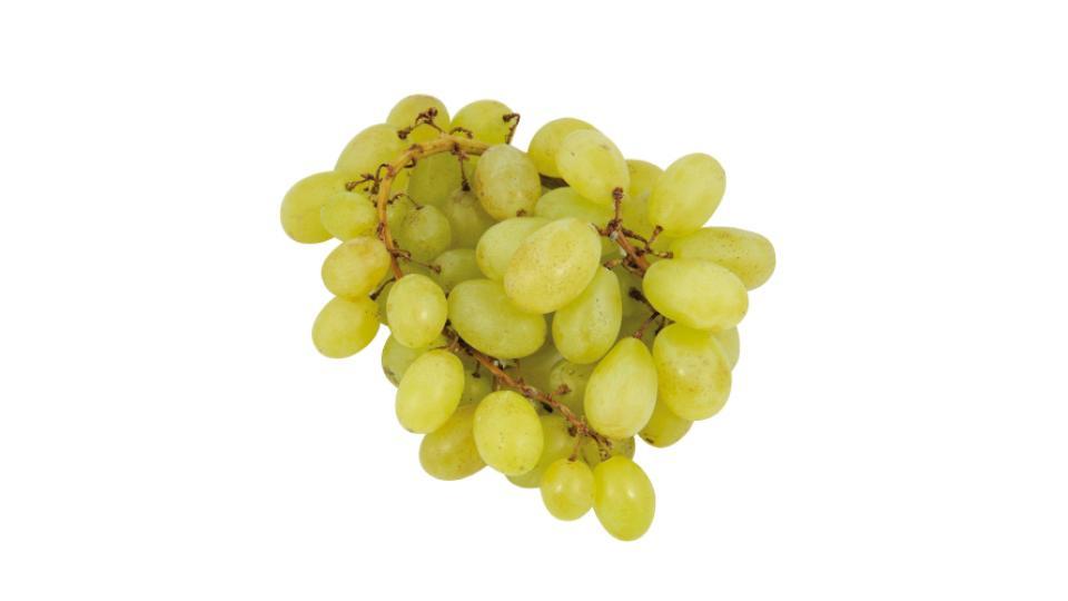 Uva Apirene Bianca Sugraone