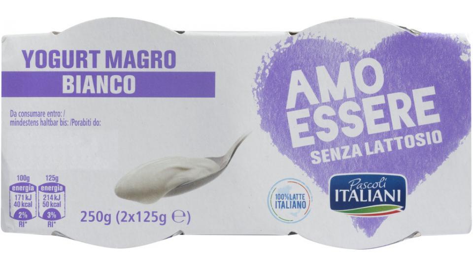 Yogurt Magro Bianco senza Lattosio