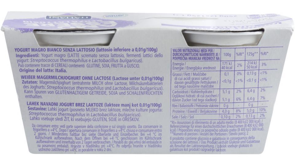 Yogurt Magro Bianco senza Lattosio