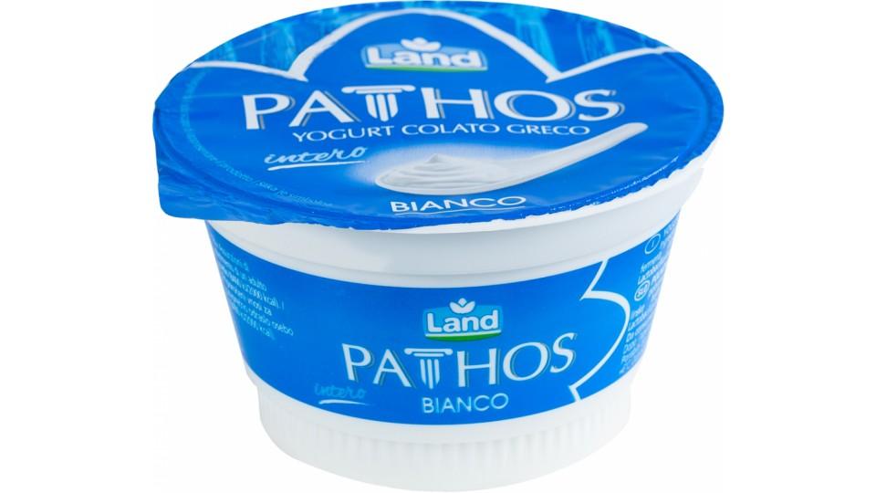 Yogurt Greco Intero Bianco