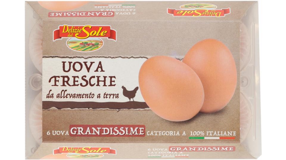 Uova Grandissime Allevate a Terra