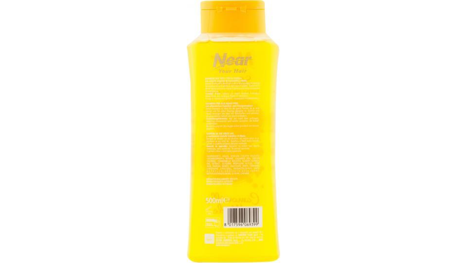Shampoo Camomilla e Miele
