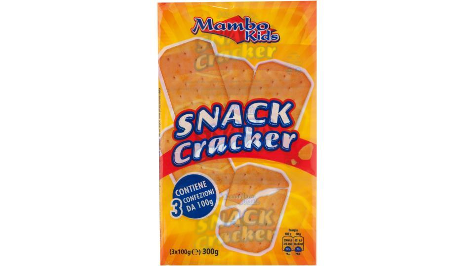 Snack Cracker