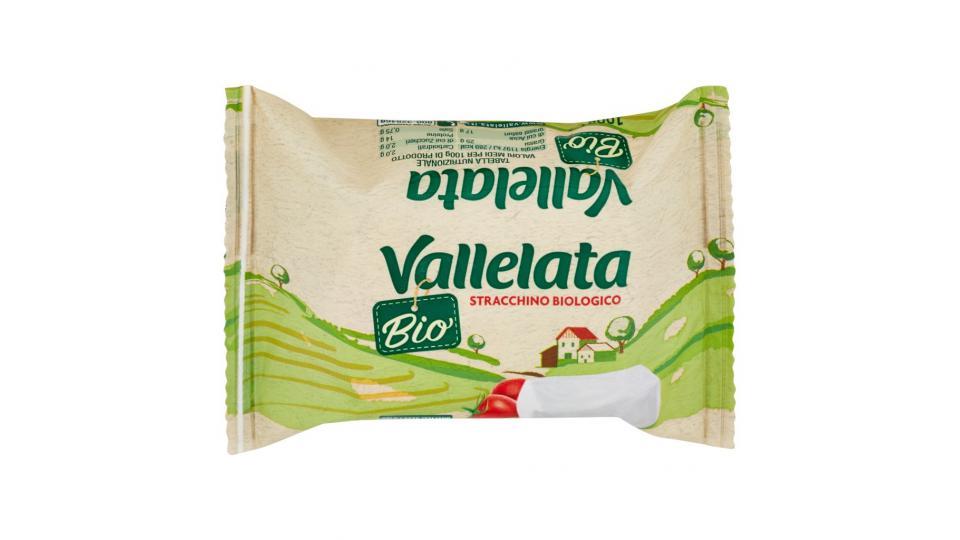 Bio Stracchino Biologico