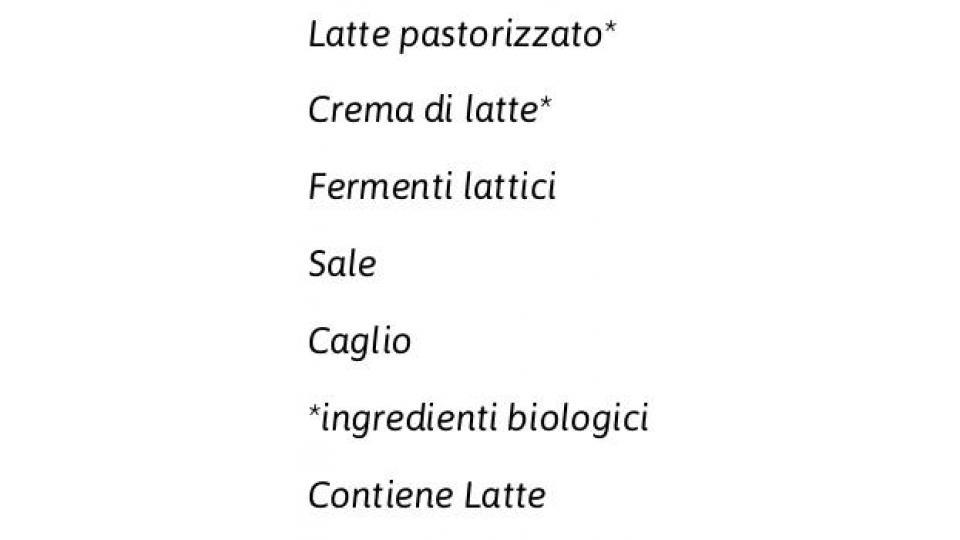 Bio Stracchino Biologico