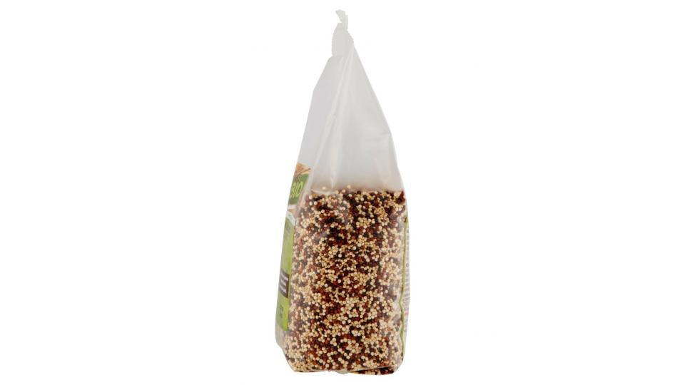 Quinoa Tricolore