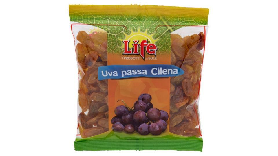 Uva Passa Cilena