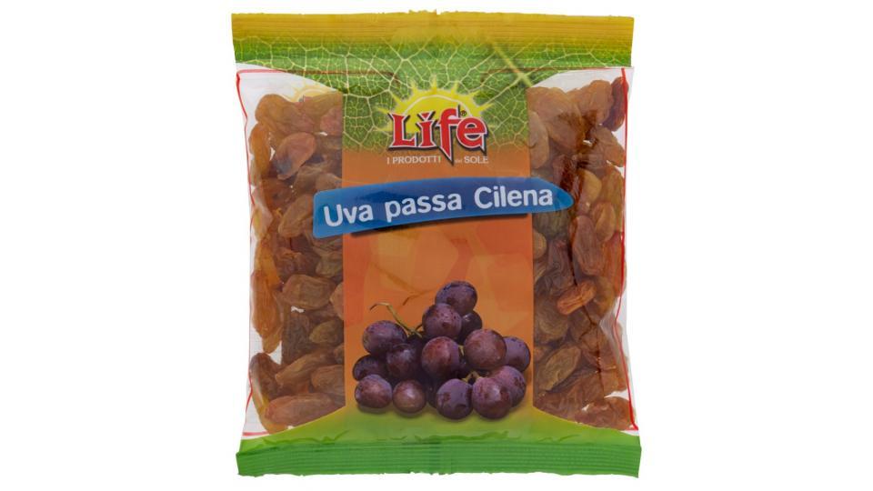Uva Passa Cilena