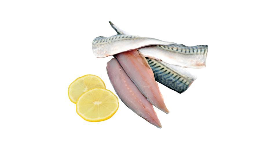 Filetto di Sgombro
