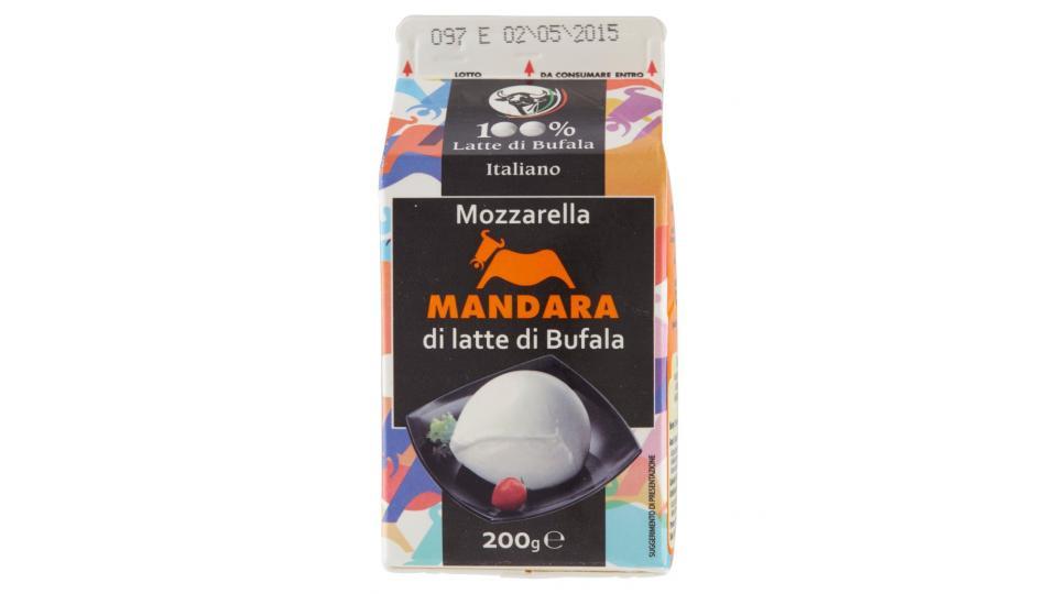 Mozzarella di Latte di Bufala 200 g Brik