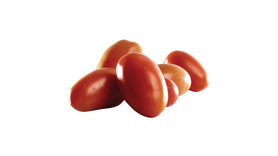 POMODORI PER SALSA