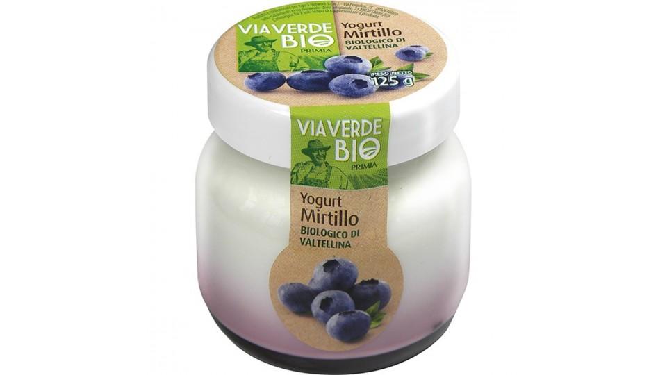YOGURT MIRTILLO