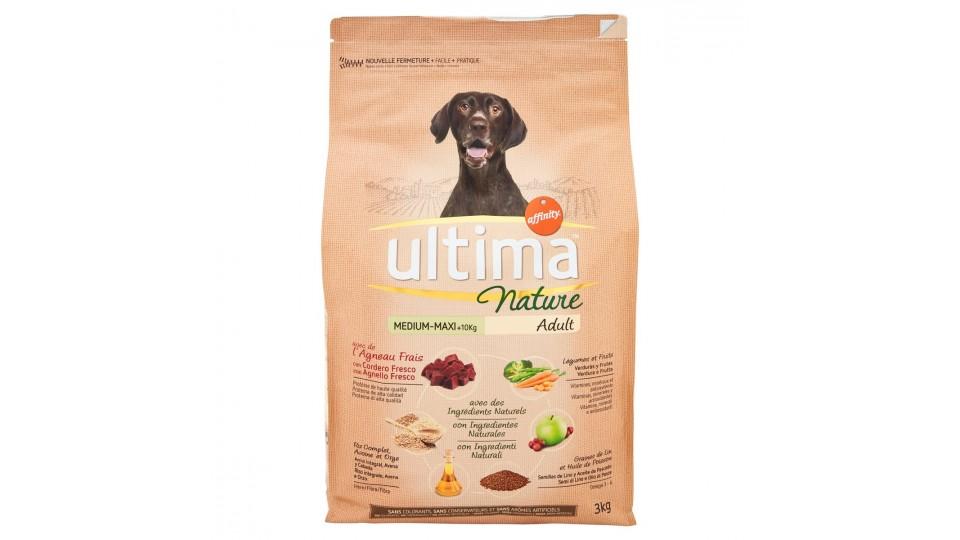 ALIM. CANI SECCO MED/MAXI AGNELLO