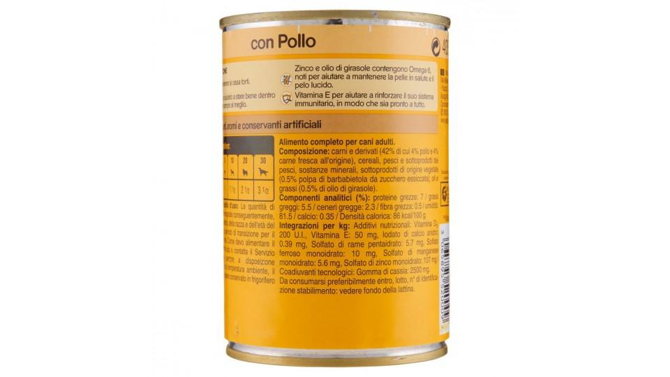 ALIMENTO CANI POLLO
