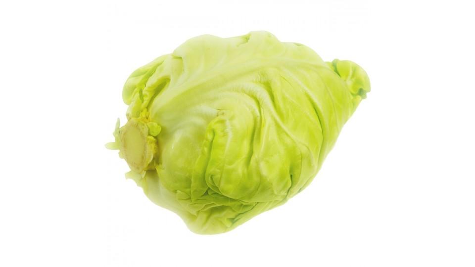 CAVOLO CAPPUCCIO (CUOR DI BUE)