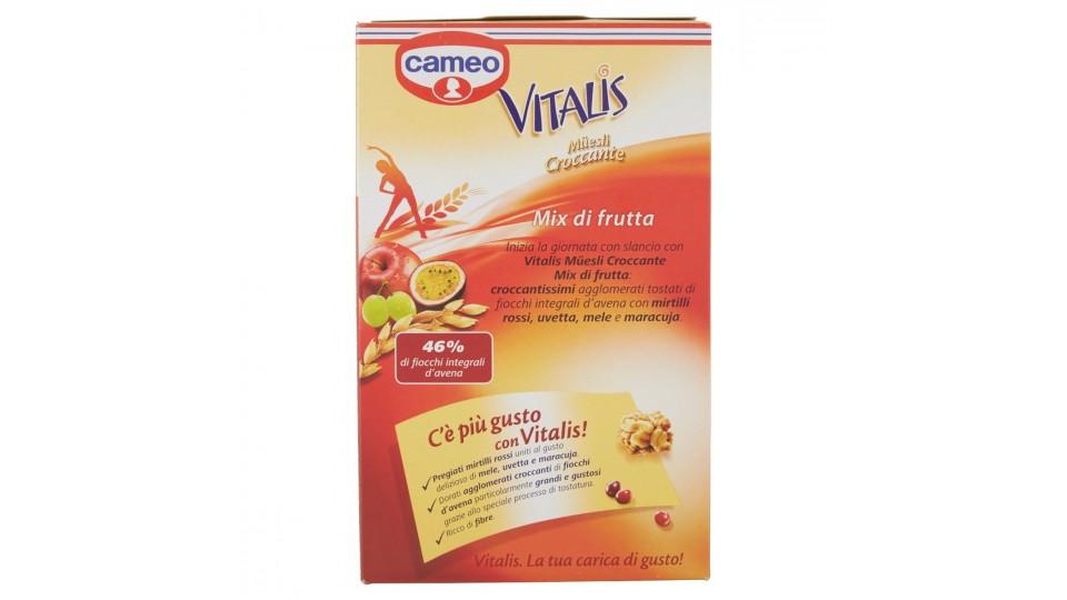 MUESLI CROCCANTE MIX FRUTTA