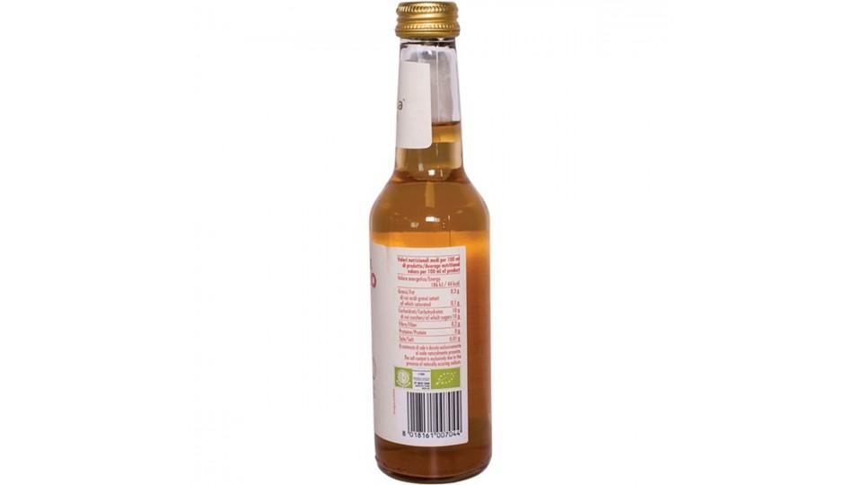 SUCCO DI MELA E ZENZERO BIO