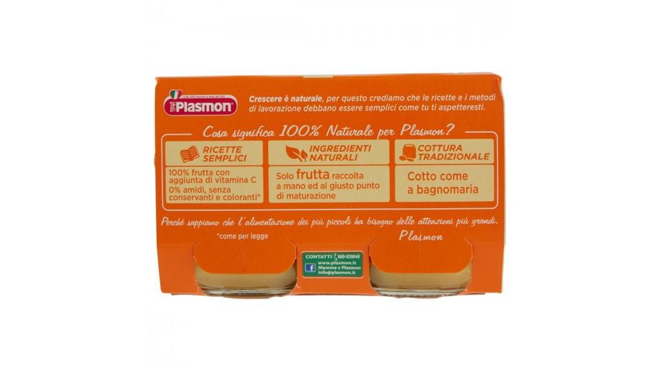 OMOGENEIZZATO 4 FRUTTI