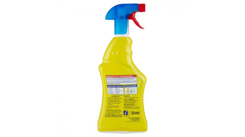 SGRASSATORE IGIENIZZANTE TRIGGER