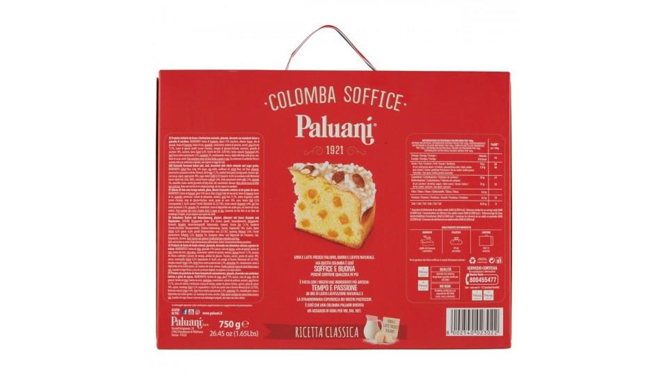 COLOMBA CLASSICA TULIPANO
