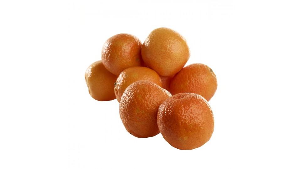 CLEMENTINE ORRI
