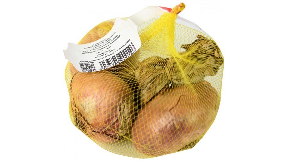 CIPOLLA RAMATA TRECCIA
