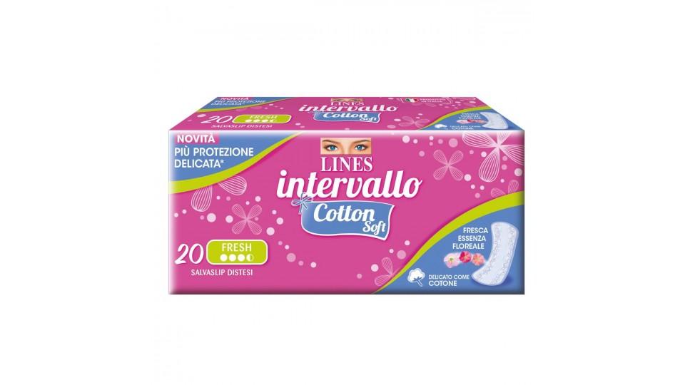 SALVASLIP DISTESI COTTON SOFT