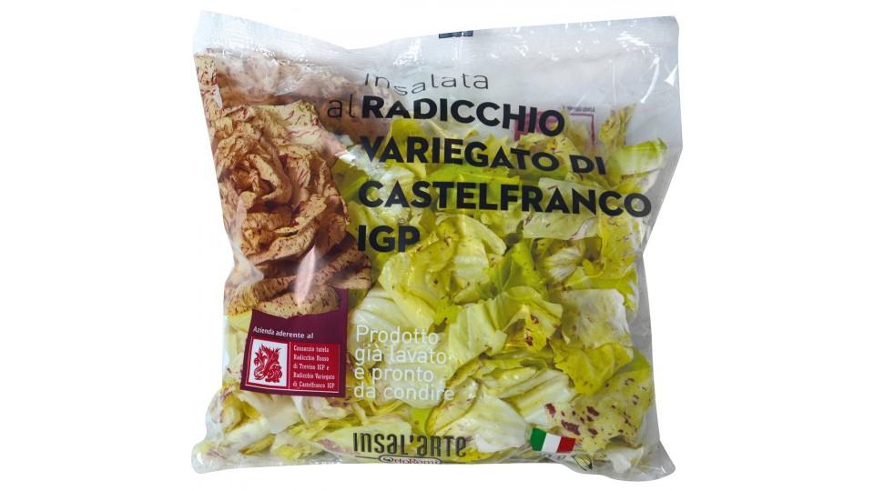 RADICCHIO CASTELFRANCO I.G.P.