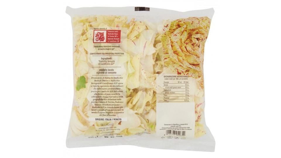 RADICCHIO CASTELFRANCO I.G.P.