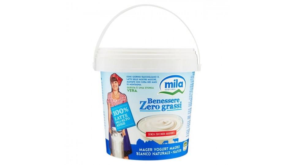 YOGURT ZERO GRASSI