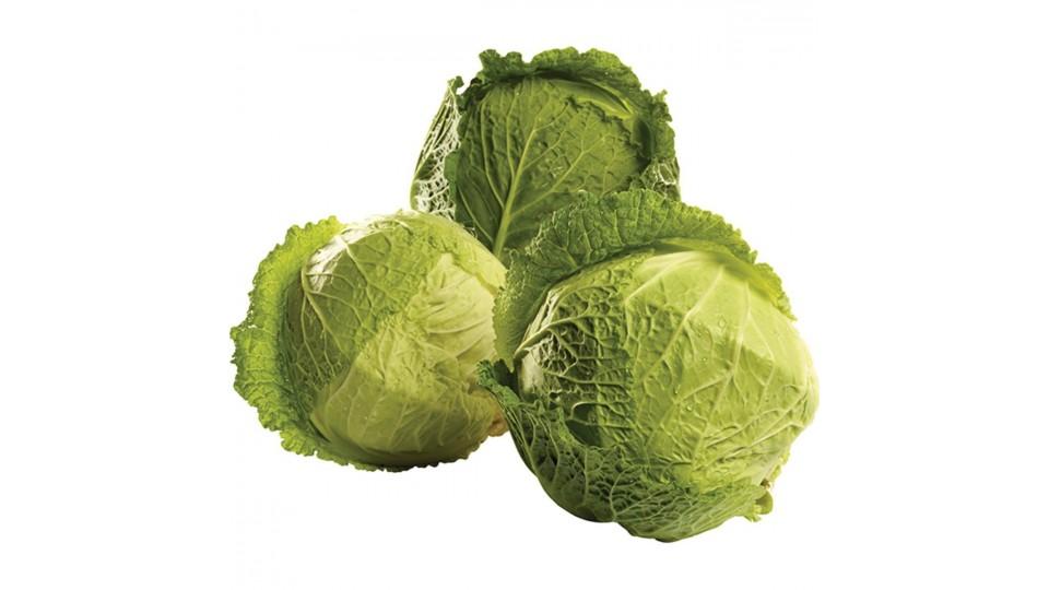 Verze, 800-1000g