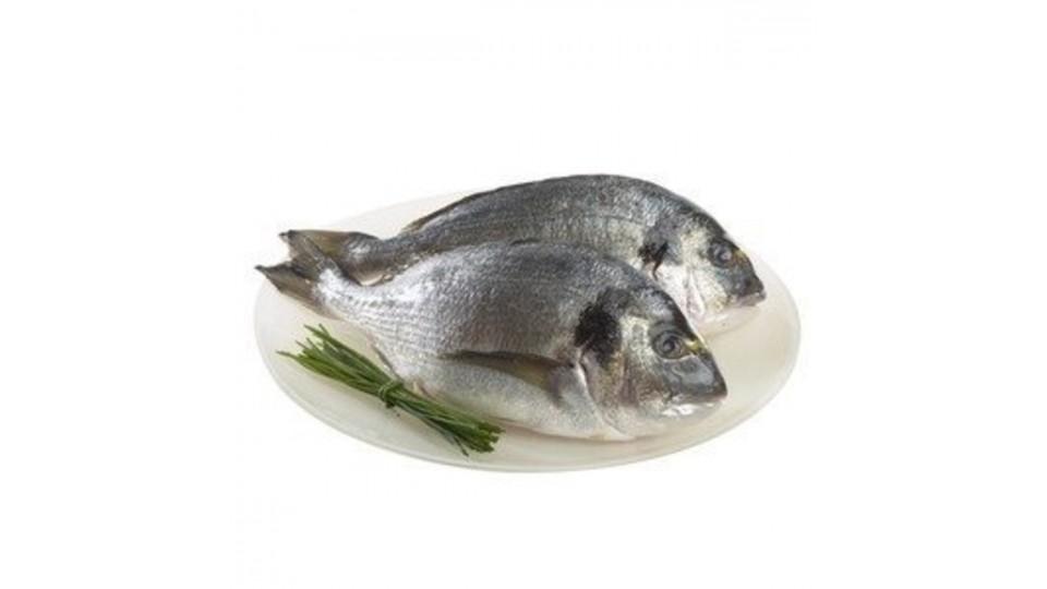 ORATA
