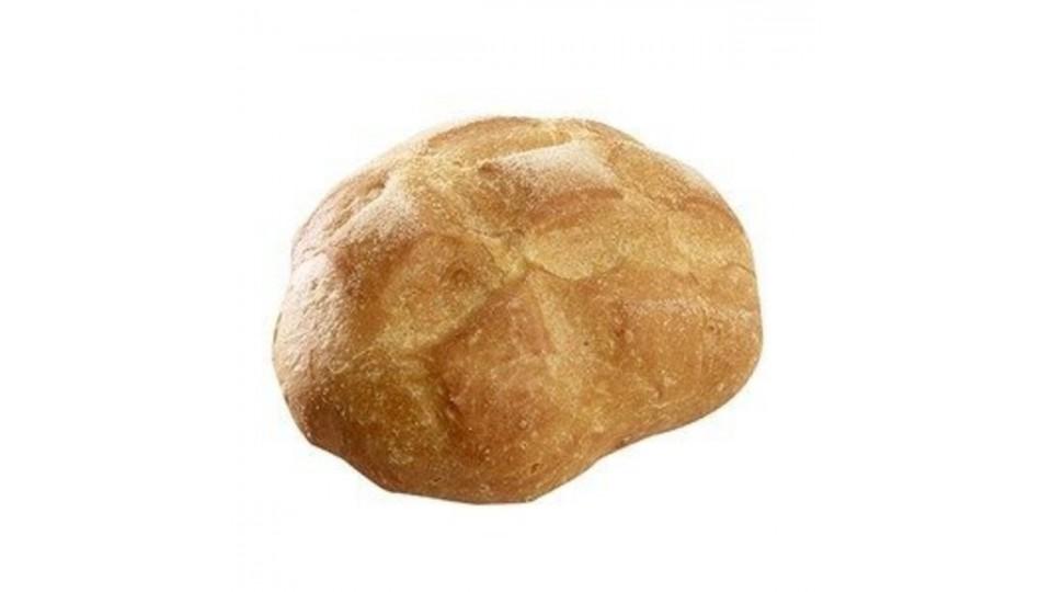 TARTARUGA GRANO DURO
