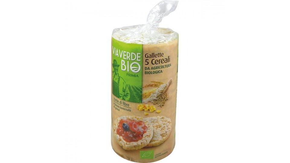 GALLETTE AI 5 CEREALI
