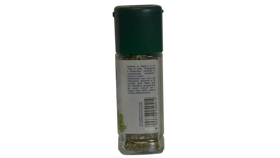 SALVIA ITALIANA