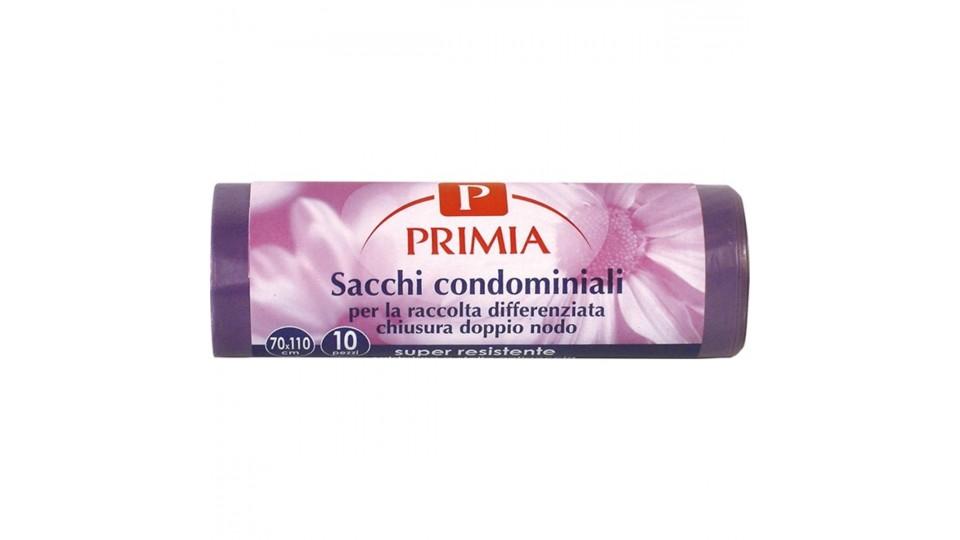 SACCHI VIOLA TRASP.70X110