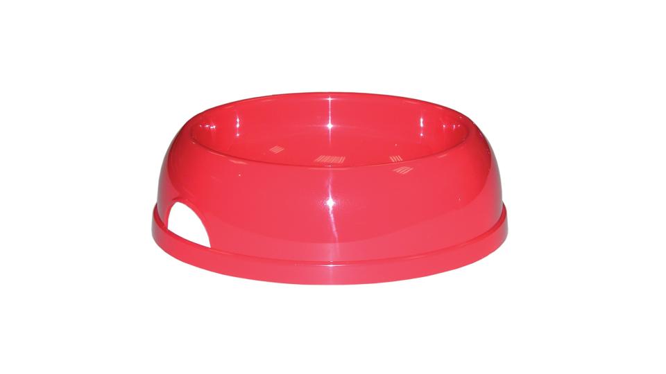 CIOTOLA PLASTICA