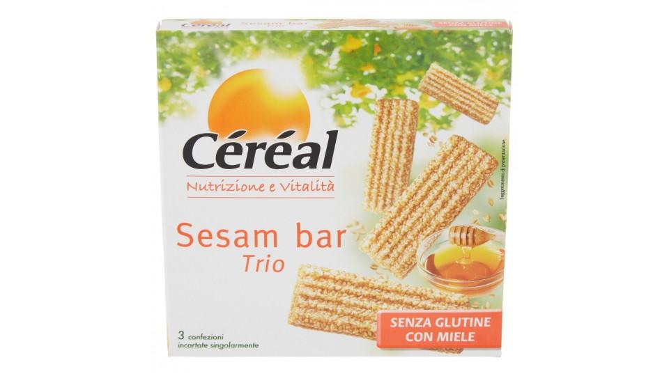BARRETTE SESAMO E MIELE